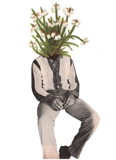 collages